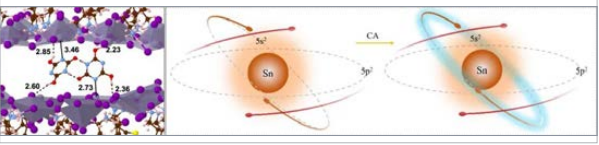 王寧教授團隊在無鉛鈣鈦礦物性調控方面取得重要進展