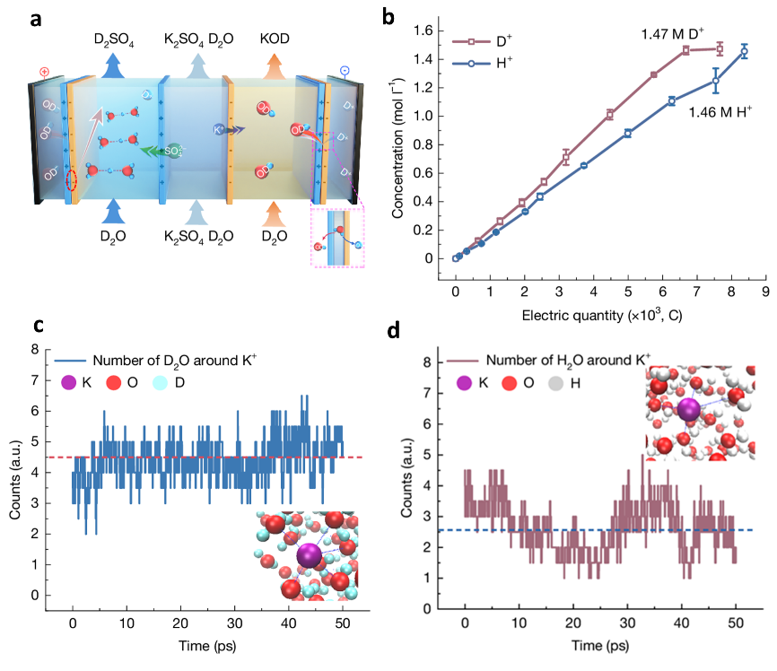 ЇƴF꠳ɹ_lͳɱƂ뮴A¼gOLEDҪx