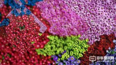 【HDR是什么意思】HDR電視技術(shù)要求