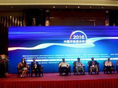 嘉賓訪談：匯集行業精英，共商顯示未來