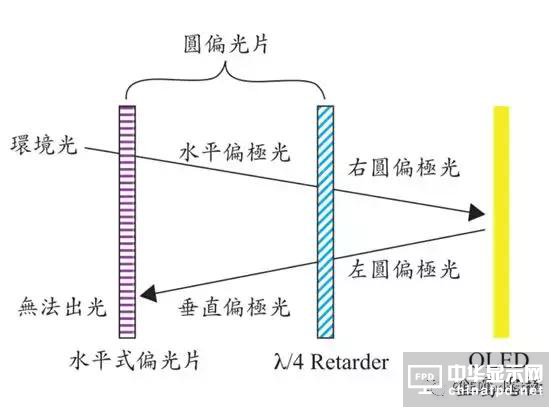 圖文詳解:AMOLED圓偏光片的寬波域相位差補償膜技術